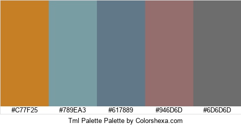Tml Palette Colors Logo