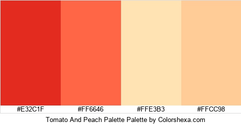 Tomato And Peach Palette Colors Logo