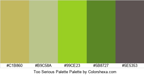 Too Serious Palette Colors Logo