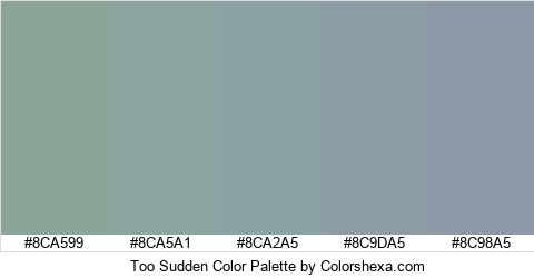 Too Sudden Color Colors Logo