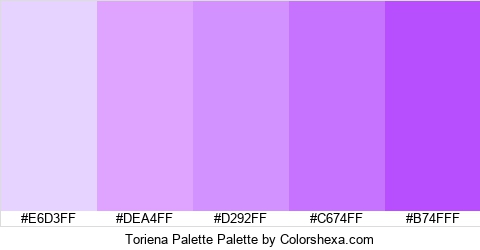 Toriena Palette Colors Logo