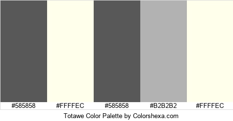 Totawe Color Colors Logo