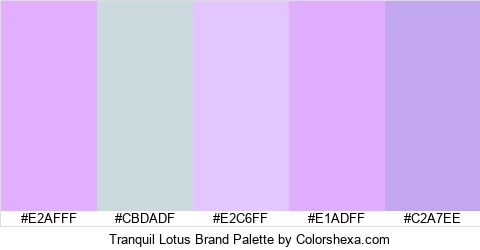 Tranquil Lotus Brand Colors Logo