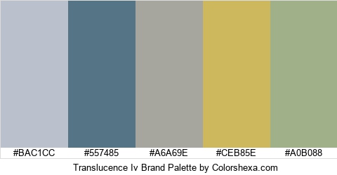 Translucence Iv Brand Colors Logo