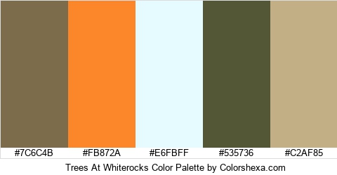 Trees At Whiterocks Color Colors Logo