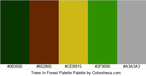 Trees In Forest Palette Colors Logo