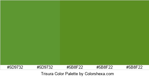 Trisura Color Colors Logo