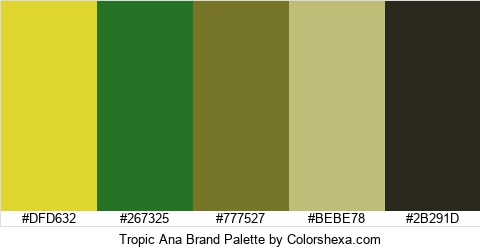 Tropic Ana Brand Colors Logo