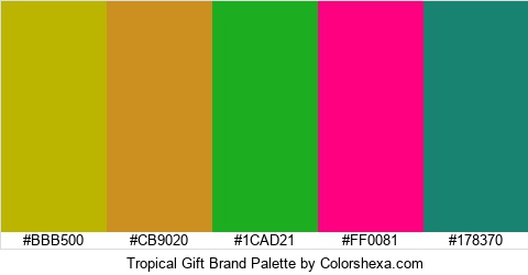 Tropical Gift Brand Colors Logo