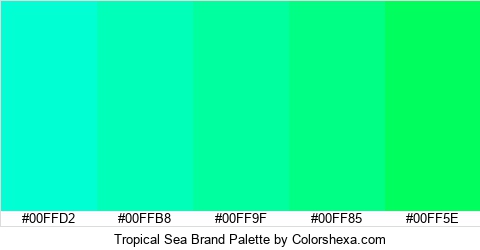 Tropical Sea Brand Colors Logo