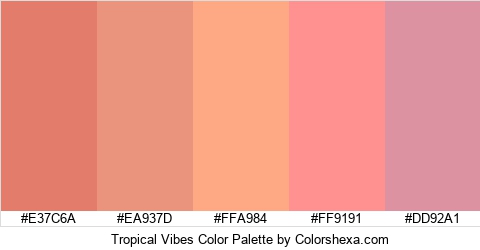 Tropical Vibes Color Colors Logo