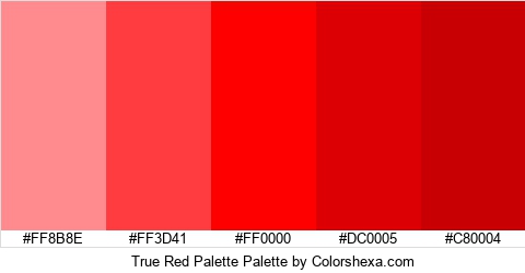 True Red Palette Colors Logo