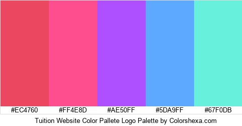 Tuition Website Color Pallete Logo Colors Logo