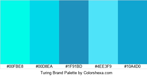 Turing Brand Colors Logo
