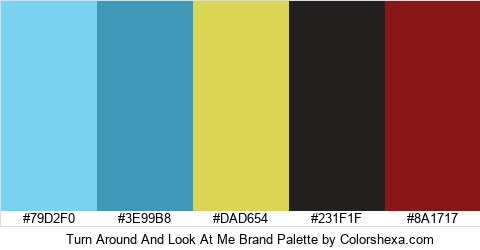 Turn Around And Look At Me Brand Colors Logo