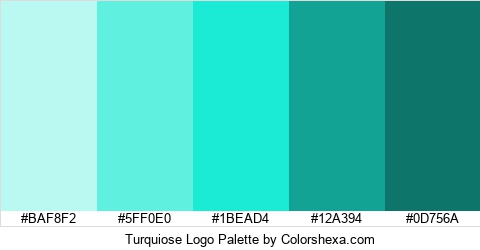 Turquiose Logo Colors Logo