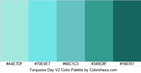 Turquoise Day V2 Color Colors Logo