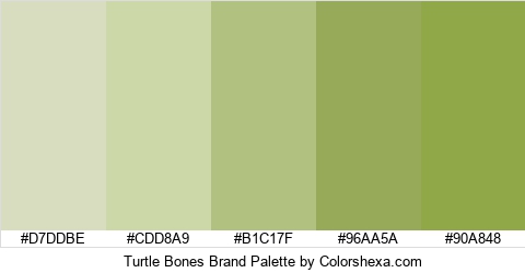 Turtle Bones Brand Colors Logo