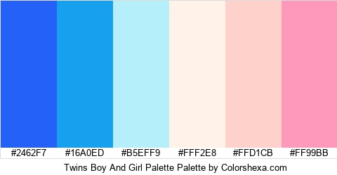 Twins Boy And Girl Palette Colors Logo