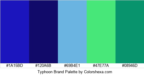 Typhoon Brand Colors Logo
