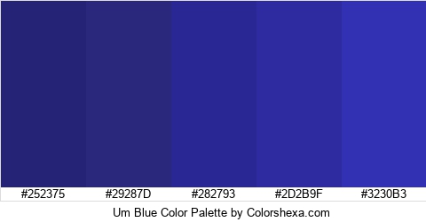 Um Blue Color Colors Logo