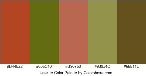 Unakite Color Colors Logo