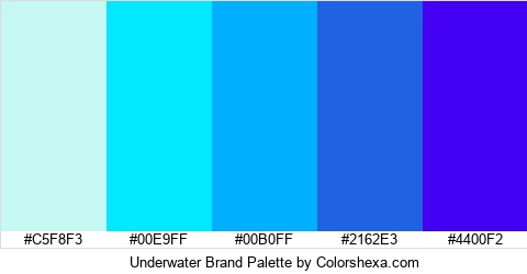 Underwater Brand Colors Logo