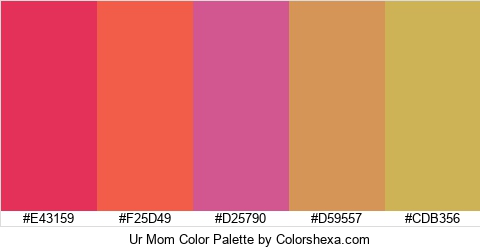 Ur Mom Color Colors Logo