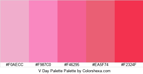 V Day Palette Colors Logo