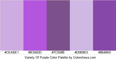 Variety Of Purple Color Colors Logo