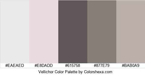 Vellichor Color Colors Logo