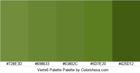 Verts6 Palette Colors Logo