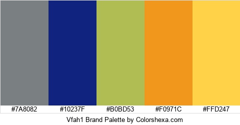Vfah1 Brand Colors Logo