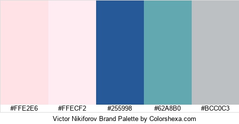 Victor Nikiforov Brand Colors Logo