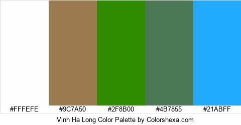 Vinh Ha Long Color Colors Logo