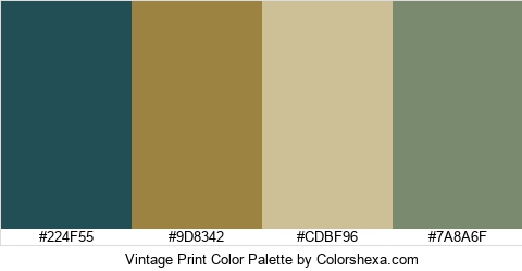 Vintage Print Color Colors Logo