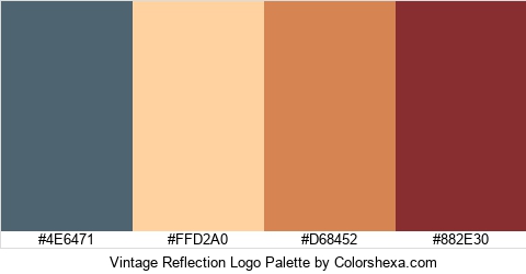 Vintage Reflection Logo Colors Logo