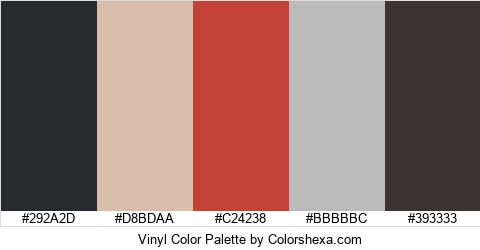Vinyl Color Colors Logo