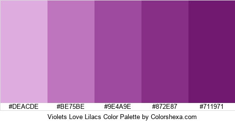 Violets Love Lilacs Color Colors Logo