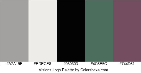 Visions Logo Colors Logo