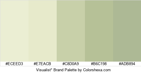 Visualist* Brand Colors Logo