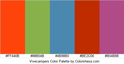 Vivecampers Color Colors Logo