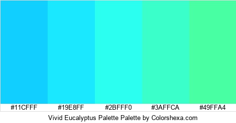 Vivid Eucalyptus Palette Colors Logo