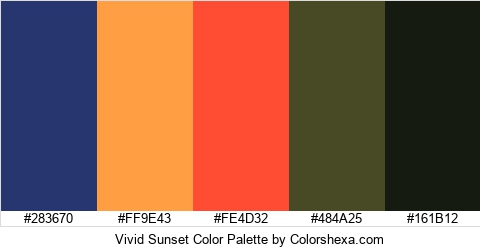Vivid Sunset Color Colors Logo