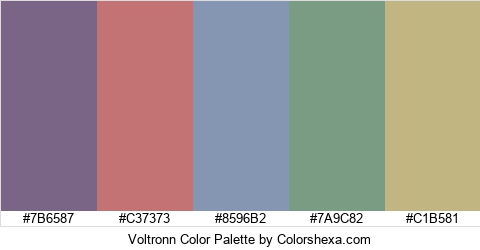 Voltronn Color Colors Logo