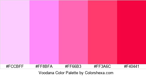 Voodana Color Colors Logo
