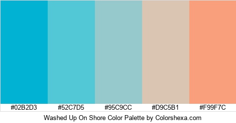 Washed Up On Shore Color Colors Logo