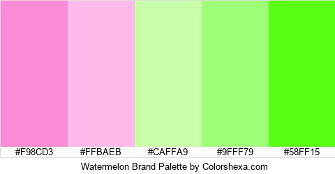 Watermelon Brand Colors Logo
