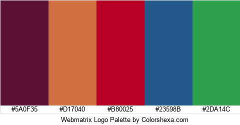 Webmatrix Logo Colors Logo
