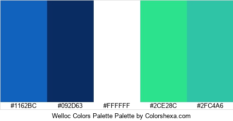 Welloc Colors Palette Colors Logo